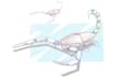 do a highly detailed graphic line art  and sketch
