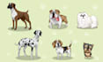 draw any animal to adorable cartoon