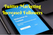 manage your twitter account