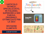 write italian professional article
