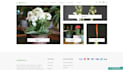 make a turnkey fast website