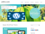 install and setup SEO friendly wordpress responsive website