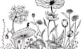 create a line art hand draw illustration