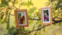 create a magical photo slideshow for your loved ones