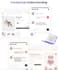 provide ai wp plugin that allows your website visitors to interact
