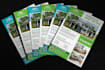 make real estate flyer, do you want buy or sell your house
