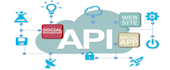develop web,rest api,web service to website,app