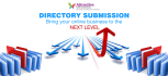 do 100 niche directory submission manually
