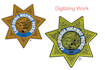 do machine embroidery digitizing logo, design, patch, applique digitize file dst