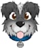 draw your pet in a cute style