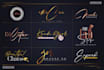 do eye catching signature logo with full copyrights
