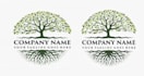 trace your logo, images, art, manually vector