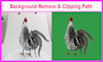 do background removal, cut out, clipping path, white or transparent bg