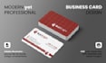 design aesthetic and professional business card