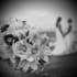 create a wedding ceremony script