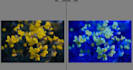edit photos in adobe lightroom