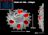 do any complex jewellery cad design with perfection