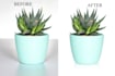 cut out images background remove professionally