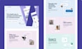 develop stunning wordpress website