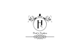 professionaly modify and vectorize your logo