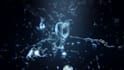 make a perfect water logo intro 3d animated video