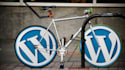 complete responsive wordpress website