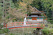 photograph lifestyle, proposals, and travel moments in kyoto