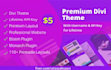 build a professional  wordpress website or blog