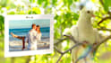 create beautiful wedding photo gallery