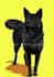 draw your pet to cartoon