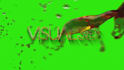 create liquid gold logo reveal intro in full HD
