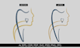 vectorize, redraw, fix, tracing or redesign logo and images