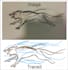 do vector tracing or vector illustration within hours