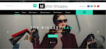 develop and design fully responsive professional website