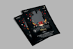 do professional  creative flyer design