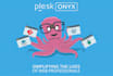 install, configure and maintain plesk panel for your server