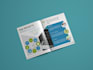 create company profile and flyers