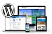 fix wordpress errors wordpress issues and bugs