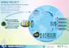 create professionally designed infographics