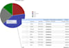 design dashboard with datatable,charts, graphs, pivot tables