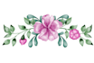 do watercolor illustrations for your design