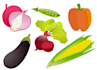 draw vector plants, fruits and vegetables illustration
