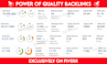 do monthly offpage SEO backlinks link building service for google ranking