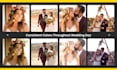do wedding photo editing and events, photo color grading