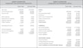 prepare financial statements as per applicable financial reporting standards