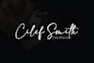 design modern signature logo