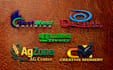 do professional business logo design