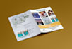 create a professional brochure magazine business proposal