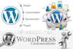 do wordpress theme or plugins customization,changes and redesign wp website