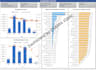 create excel graphs, pivot tables, excel dashboard and vba